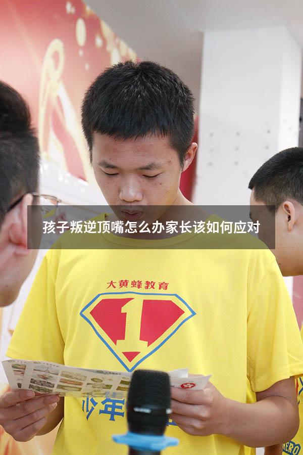 孩子叛逆顶嘴怎么办 家长该如何应对